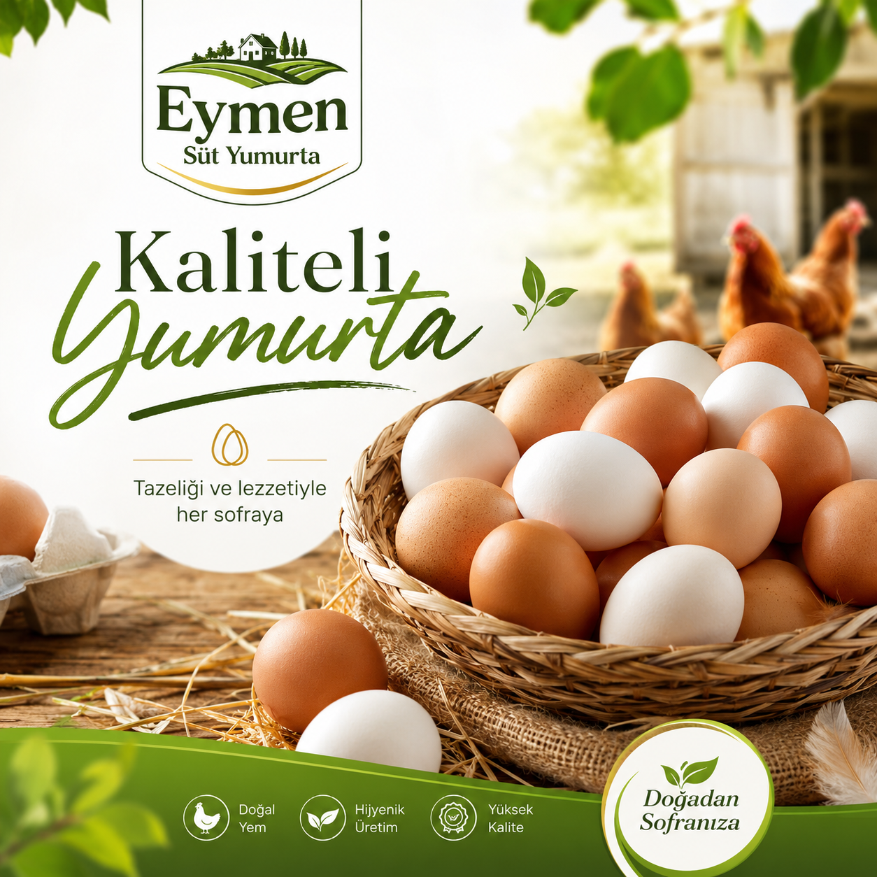 Köy Yumurtası